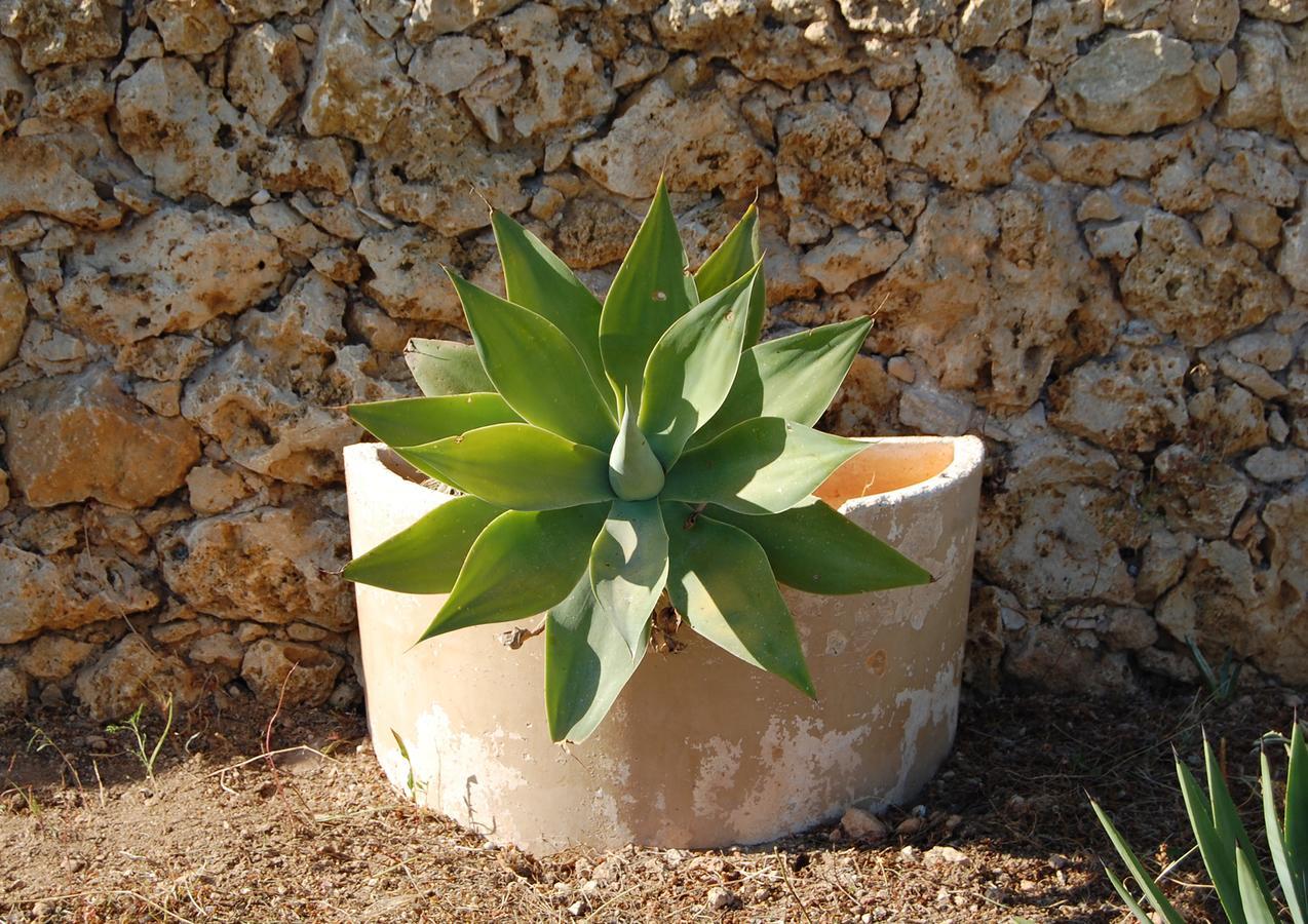 Mood Farmhouse Mythology Għarb Exterior foto